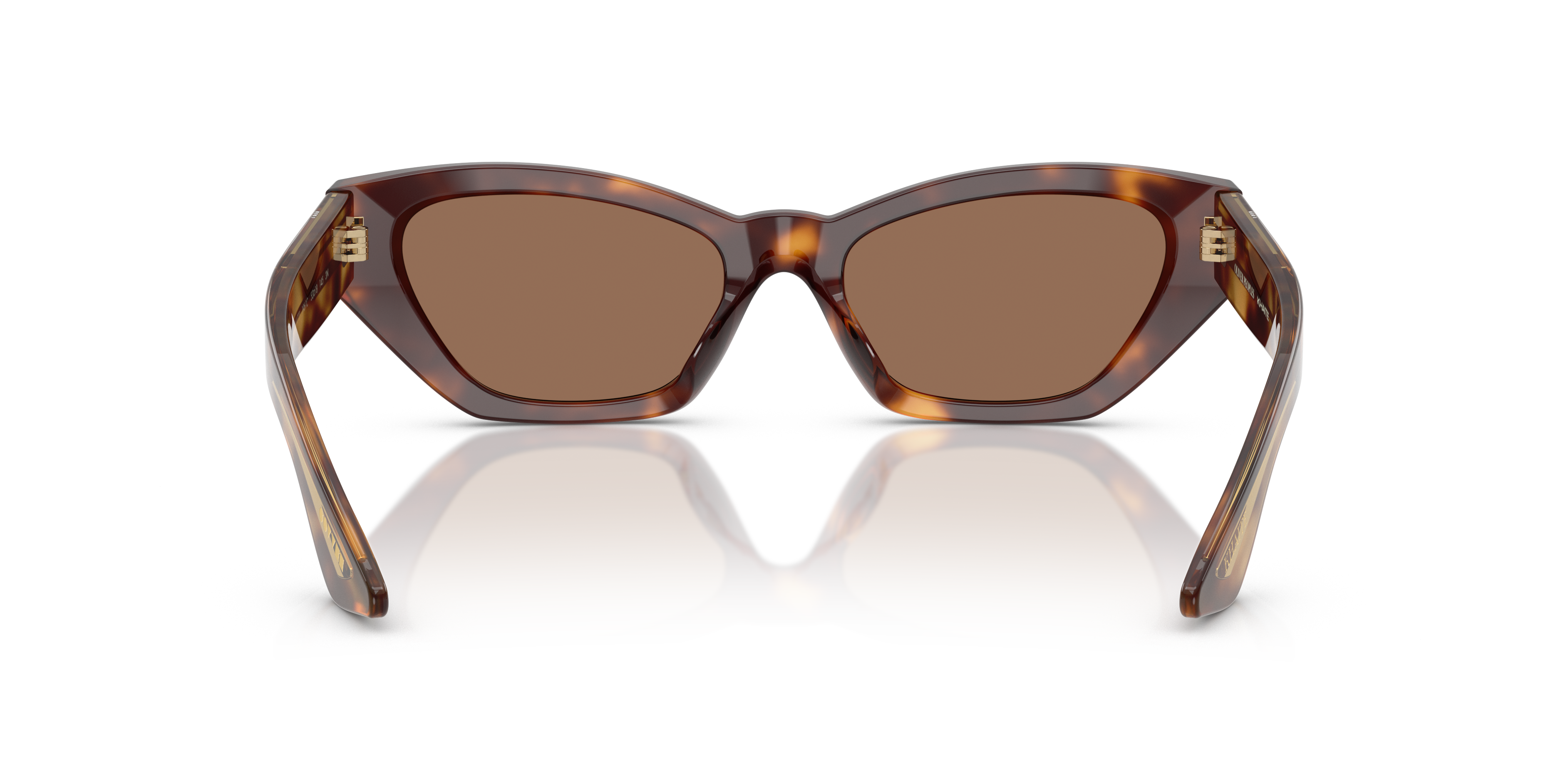 Oliver 1961C Sunglasses in Dark Mahogany | Oliver®