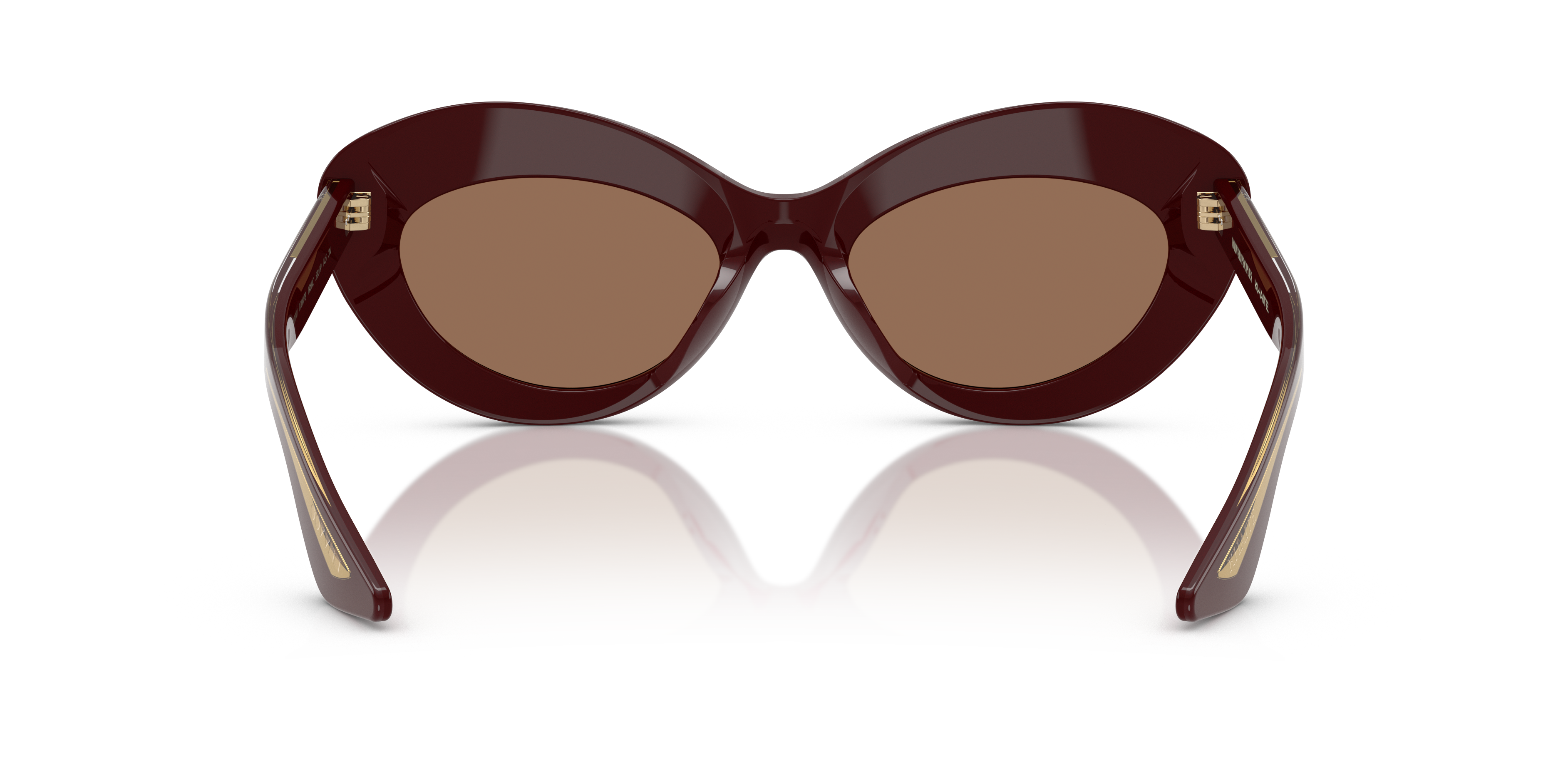 Image pour 1968C à partir de Oliver Peoples France main