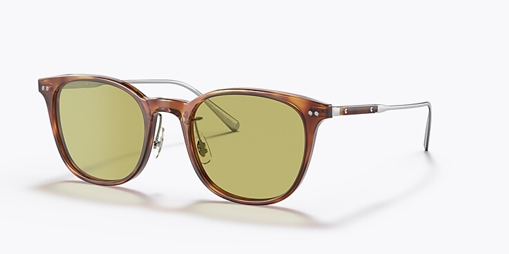 Sun OV5482S - Vintage LBR/Brushed Silver - Green Photochromic 